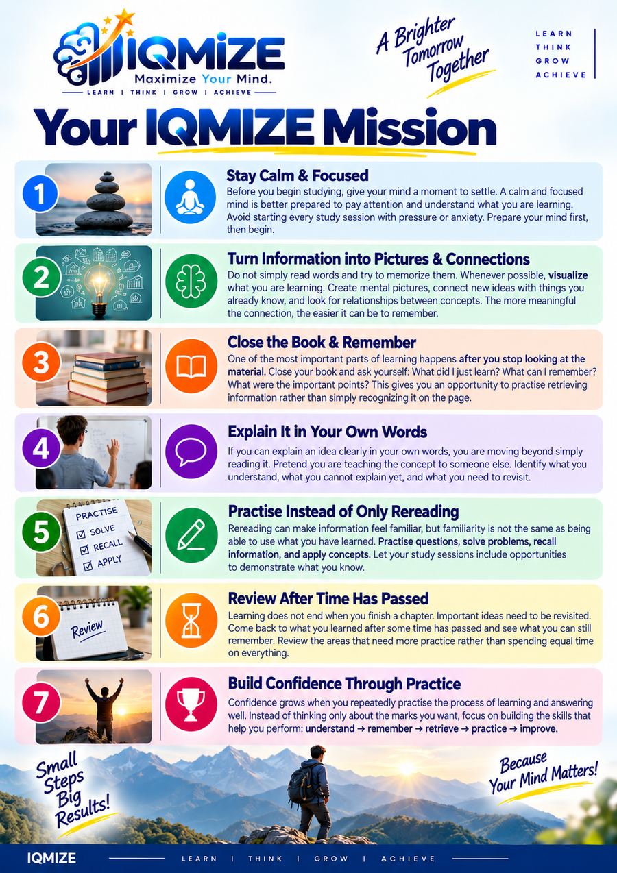 Book page preview: Your IQMIZE Mission